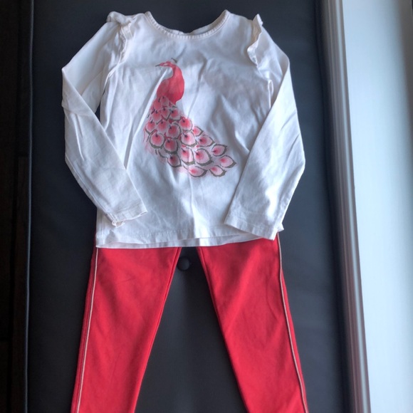 LIKE NEW Janie & Jack Peacock Ruffle Tee w/Matching Pants - Picture 1 of 7